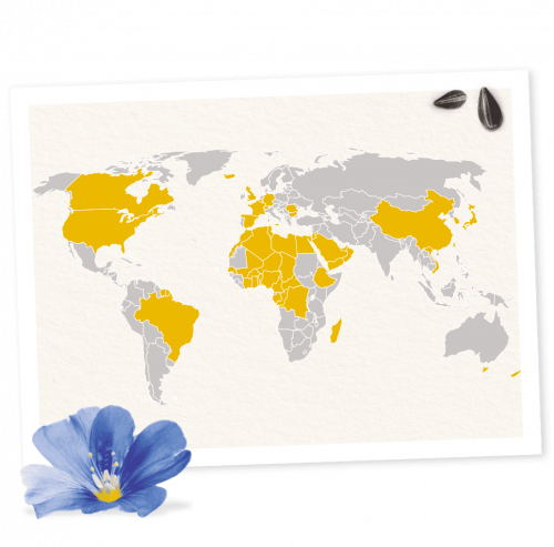 Lesieur’s presence all around the world